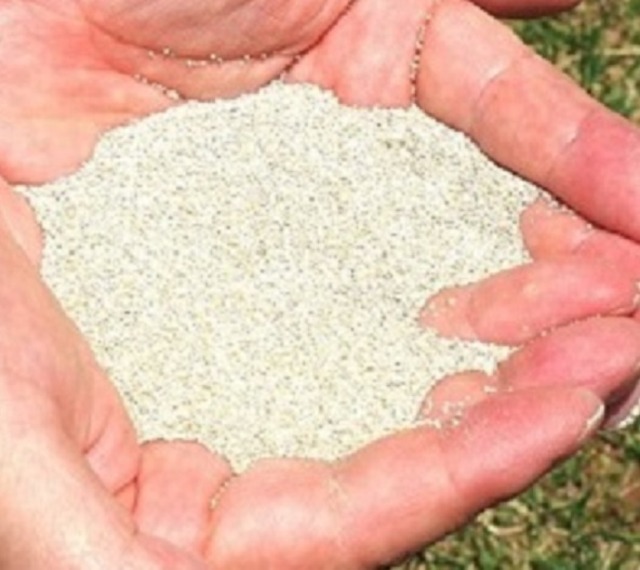 　ハーベストライズSi 1㎏／NET