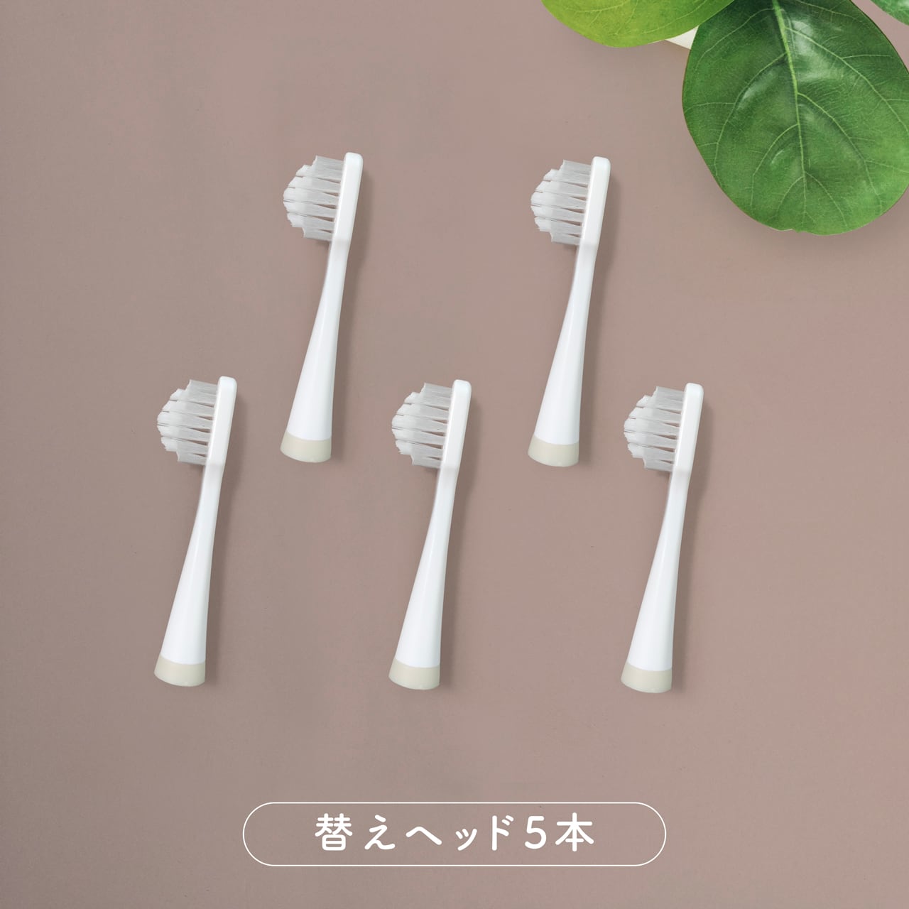 予約販売】2月発送予定〈奇跡の歯ブラシ ソニック〉 交換用ヘッド5本 