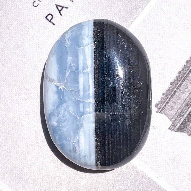 By Color Owyhee Blue Opal Palm 4 ✧ バイカラーブルーオパール