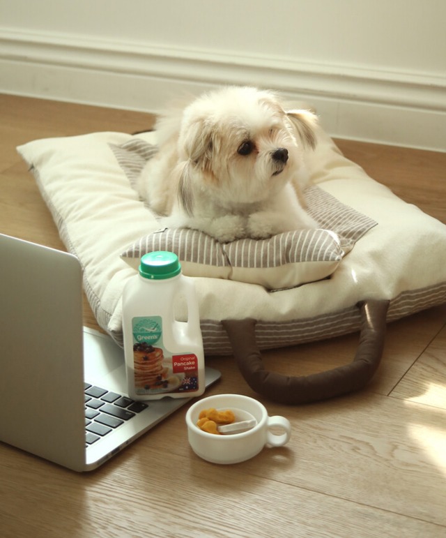 〈予約アイテム〉OHDIBS / Homey Warmy Topper – ブラウンチェック