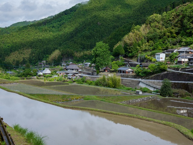 小さな田んぼ 真空パック 1kg