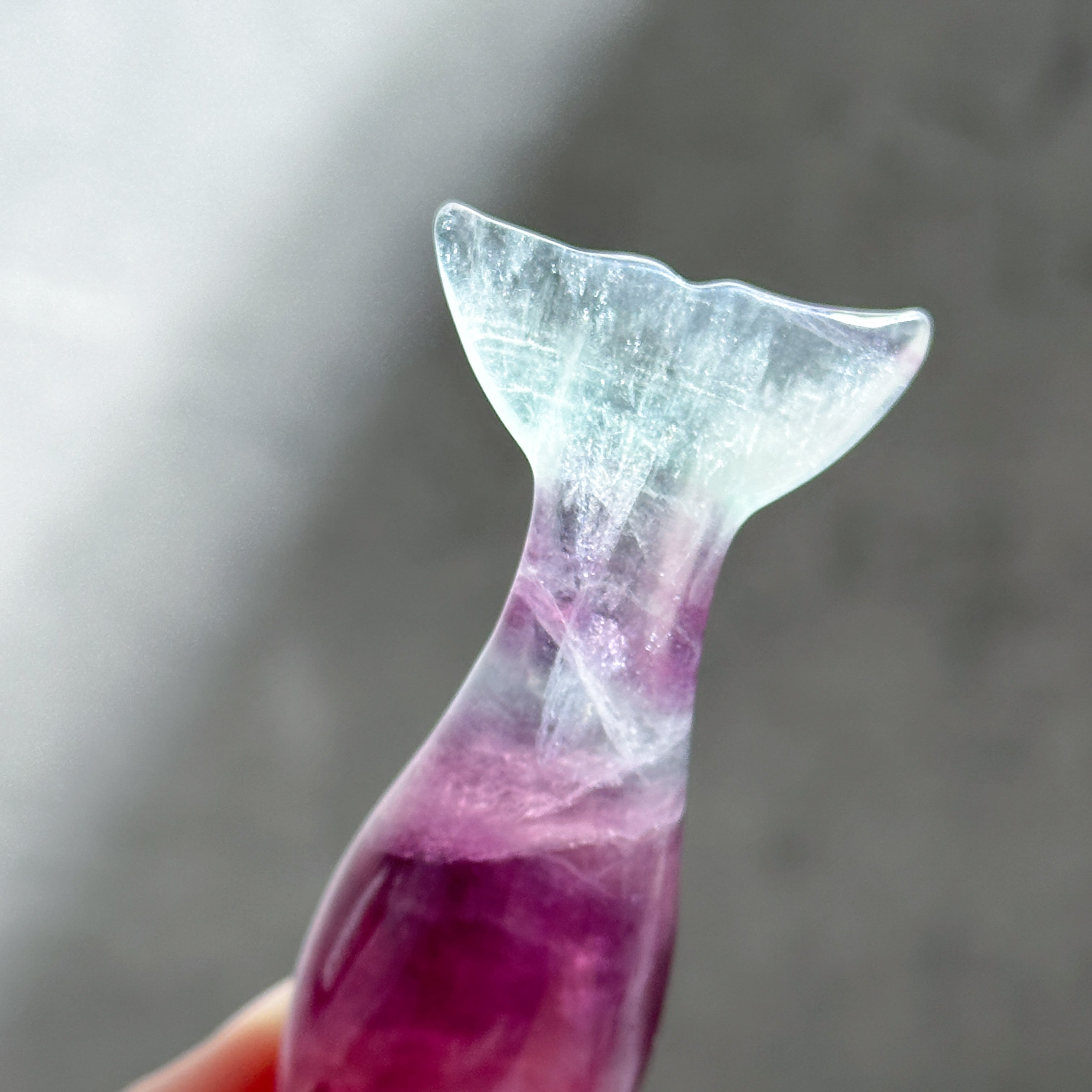 レインボーフローライト イルカ33◇Fluorite◇天然石・パワーストーン