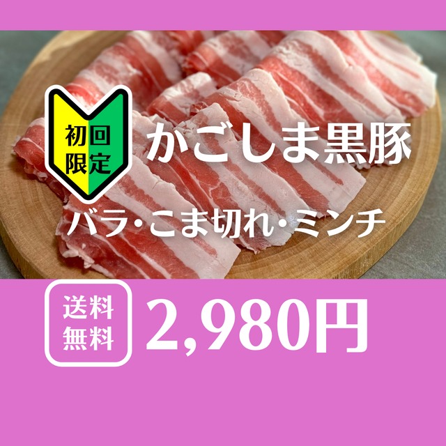【初回限定】【送料無料】黒豚工房なかむら　デビューセット