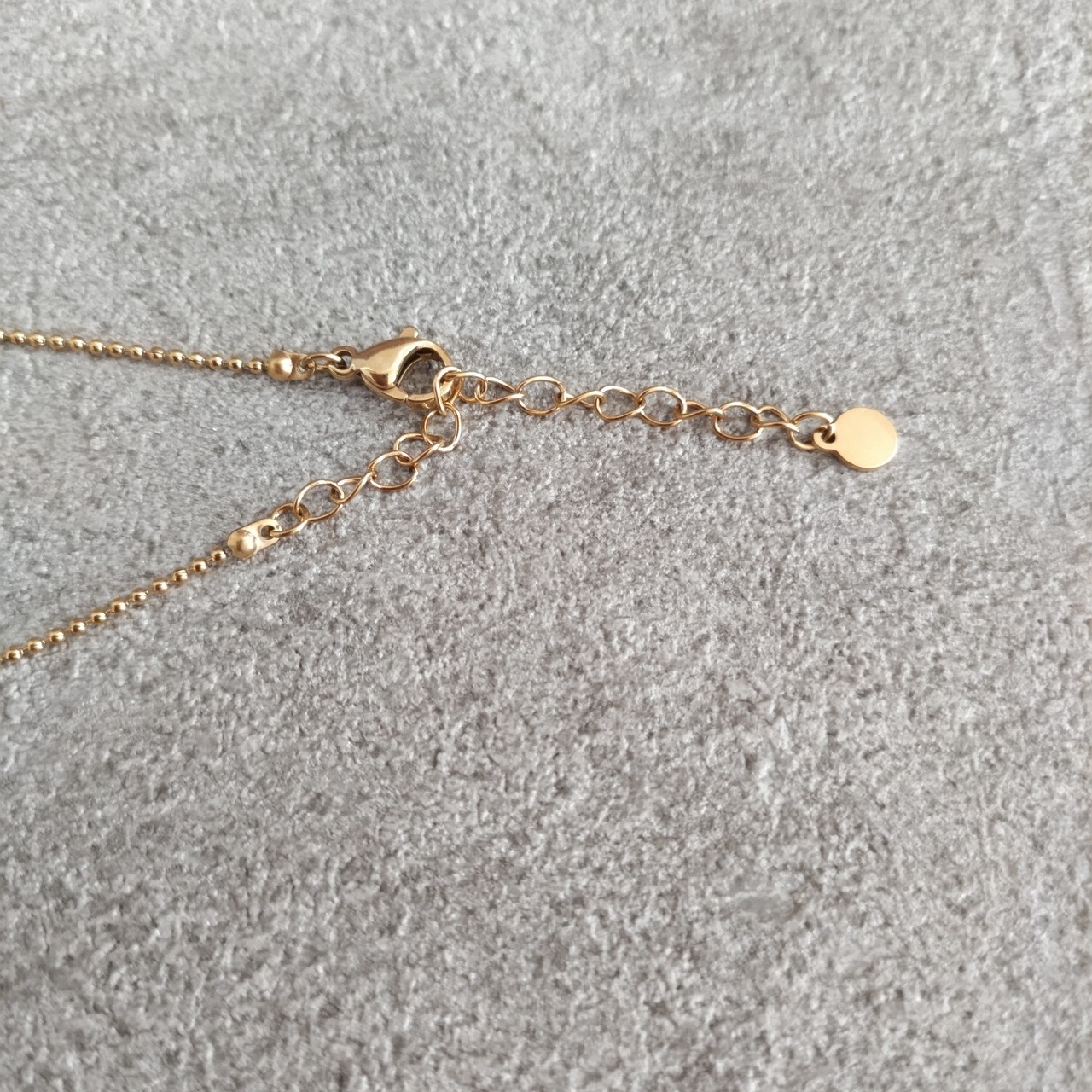 2-Charm design Necklace 316L