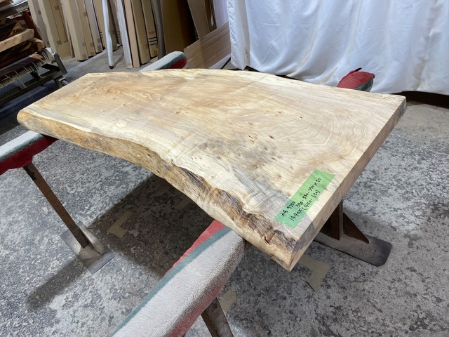 トチ9550　トチの木　一枚板無垢 乾燥材　1440x390-530-570x50mm カウンター　棚　テレビ台　カウンター　センターテーブル　窓台 　橡　栃