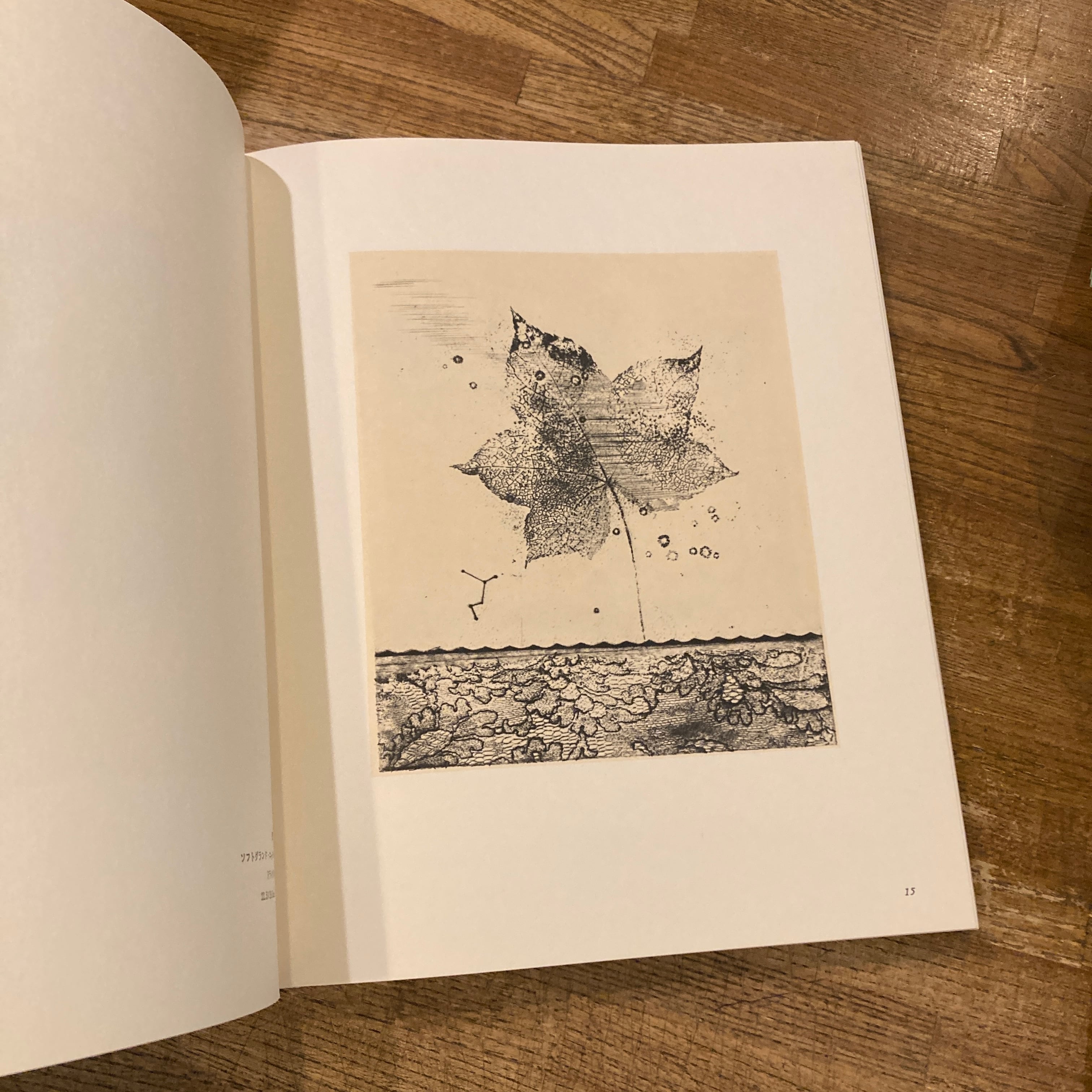 駒井哲郎 銅版画作品集 | 百年