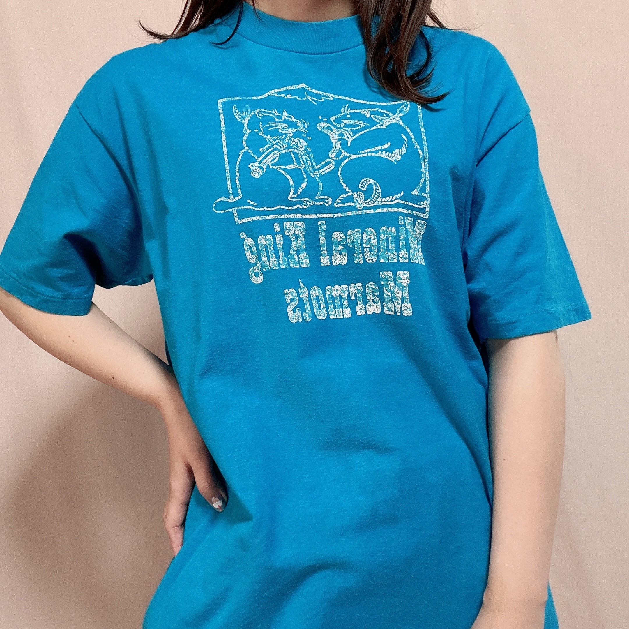 ◉クイシンボウナネズミサンのブルーtシャツ◉古着 青 シングル