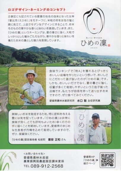 令和7年産 愛媛県 ひめの凜 | 中村販売所