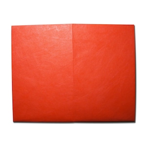 LIXTICK PAPER CARD HOLDER ? HRMS ORANGE / LIXTICK