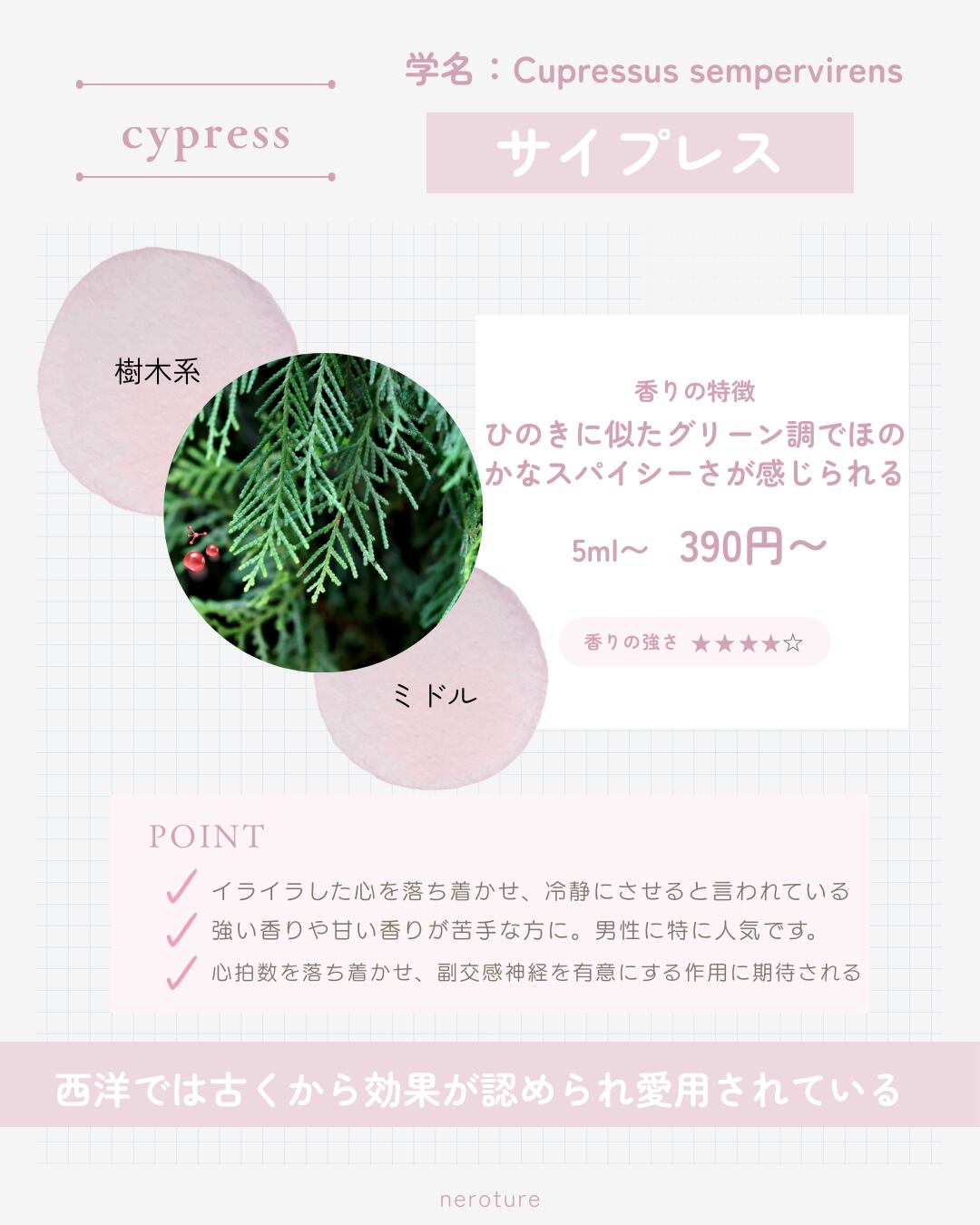 ■5ml サイプレス精油 / エッセンシャルオイル