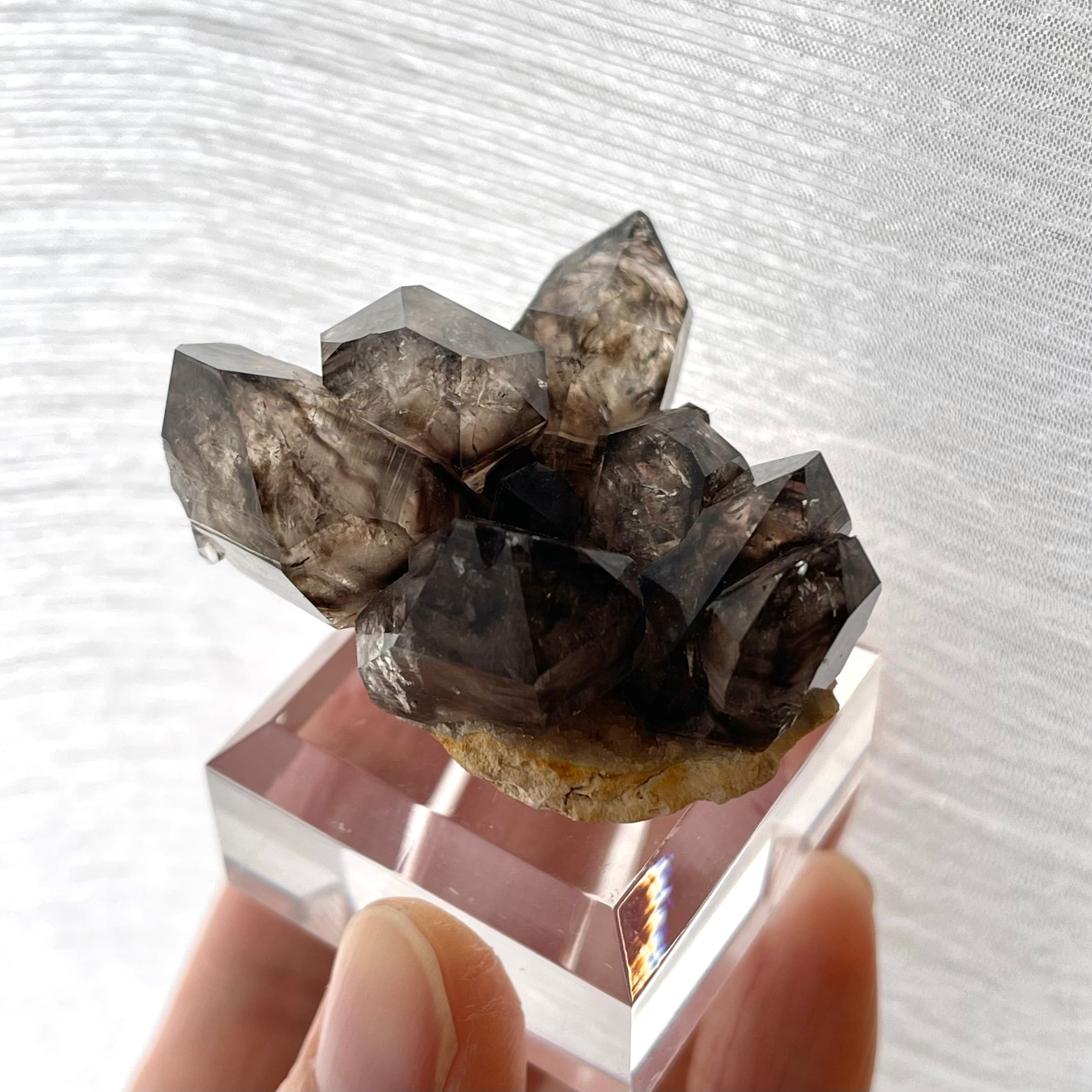 スモーキークォーツ【Smoky Quartz】オーストラリア産 | PEANUTS MINERALS