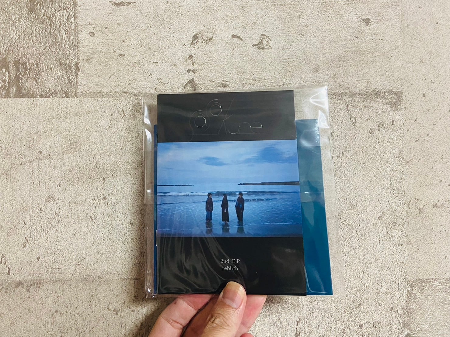 Zine & CD】ささくれ / 「rebirth」 | HOLIDAY! RECORDS DISTRO