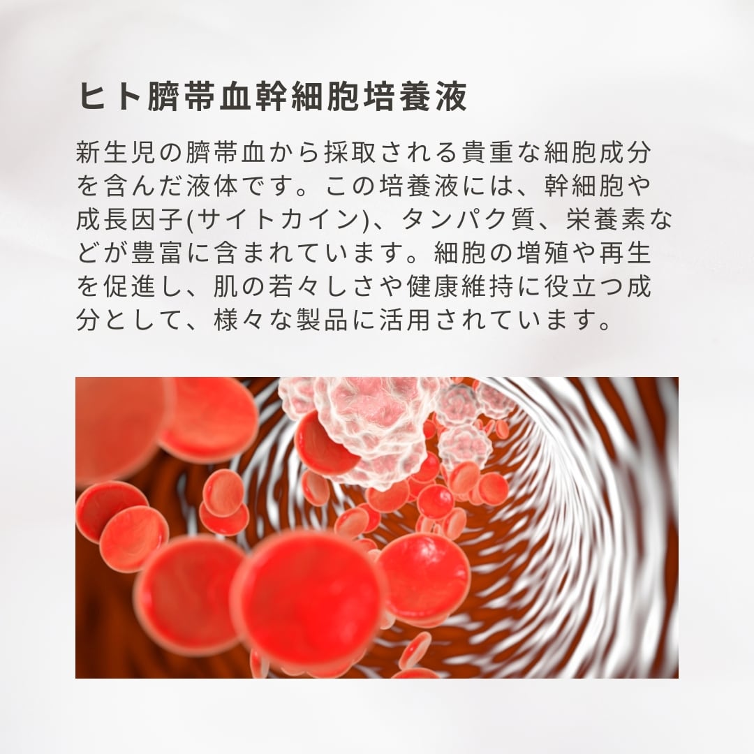 まなさん専用 CAC化粧品6点セット