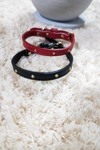 Dog or  Cat collar