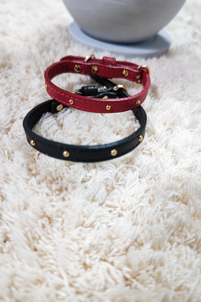 Dog or  Cat collar