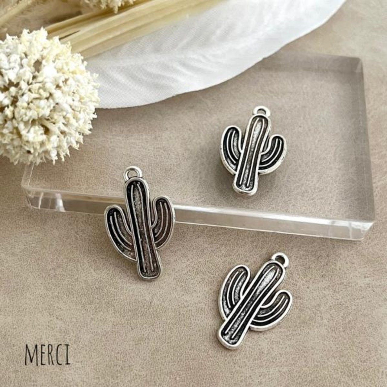 【2個】サボテンチャーム