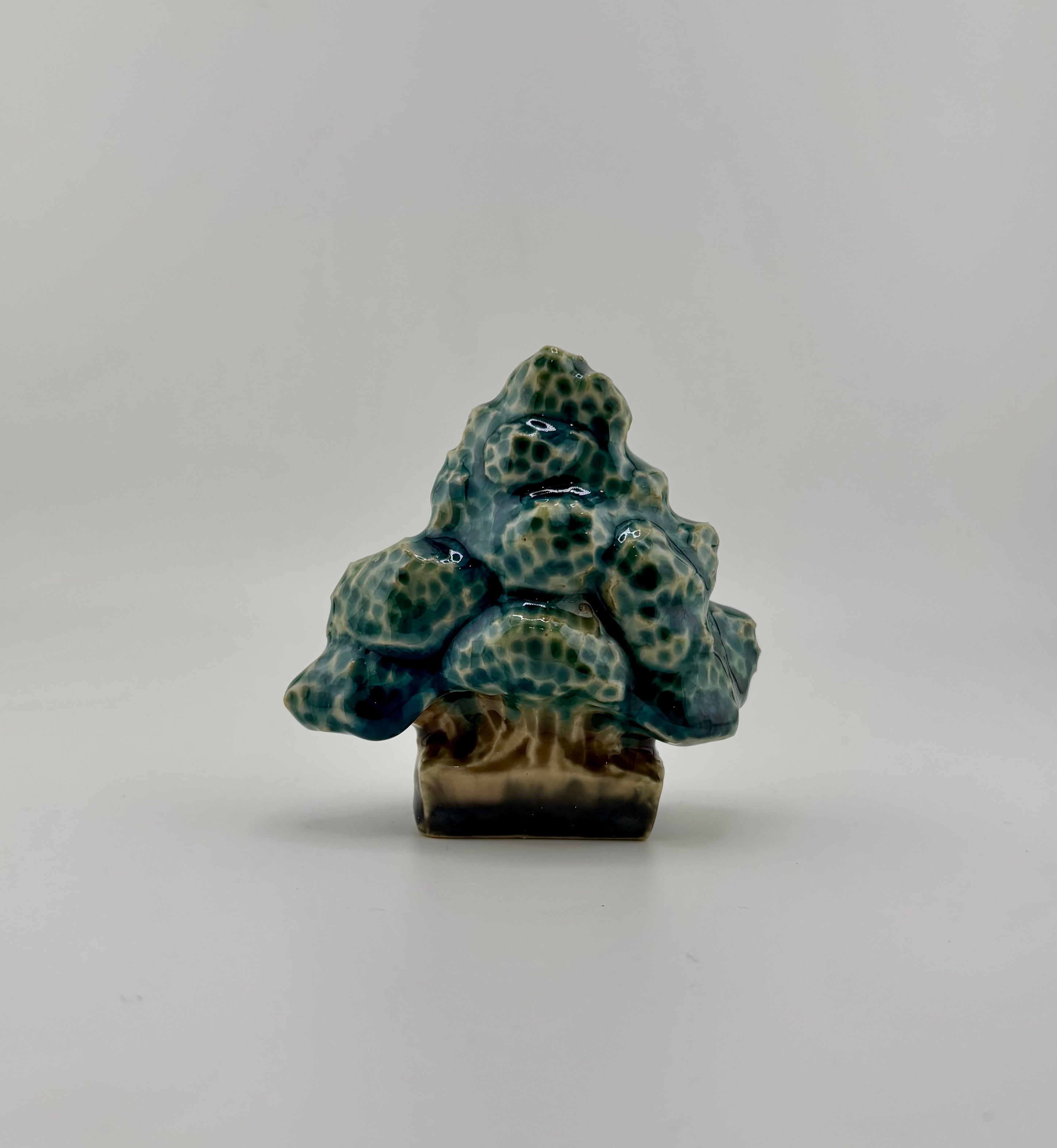 置物 陶器の盆栽 直幹・鉢 陶芸家 ニシクミ@2493_nishikumi【2025.12