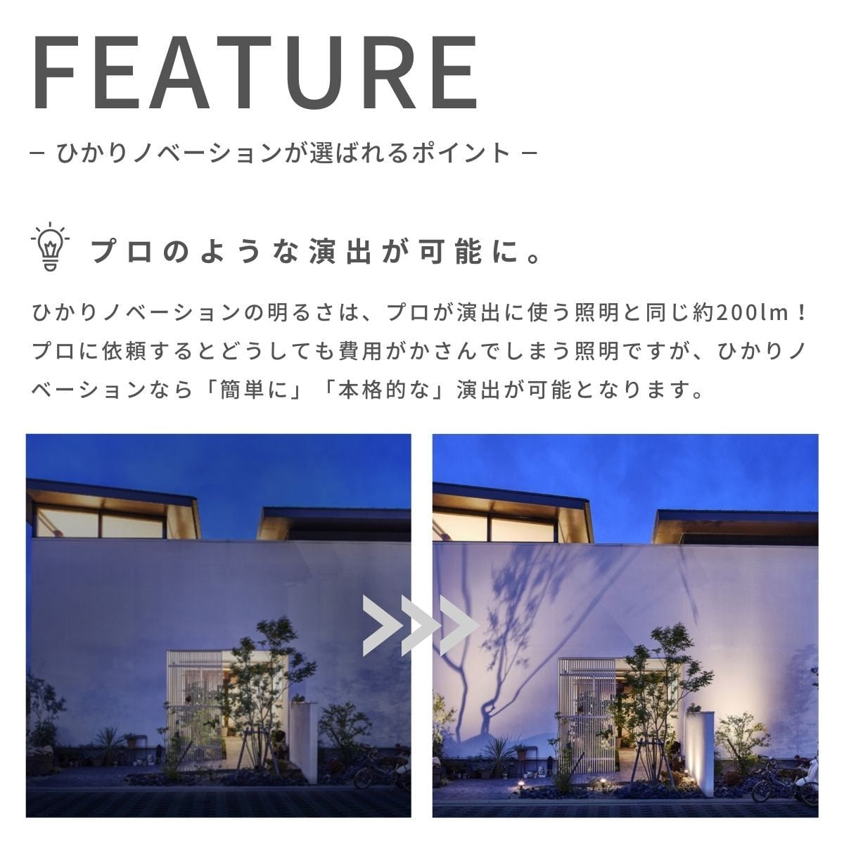 タカショー ひかりノベーション 「木のひかり 基本セット