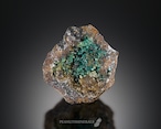 ダイオプテーズ / クォーツ【Dioptase with Quartz】コンゴ共和国産