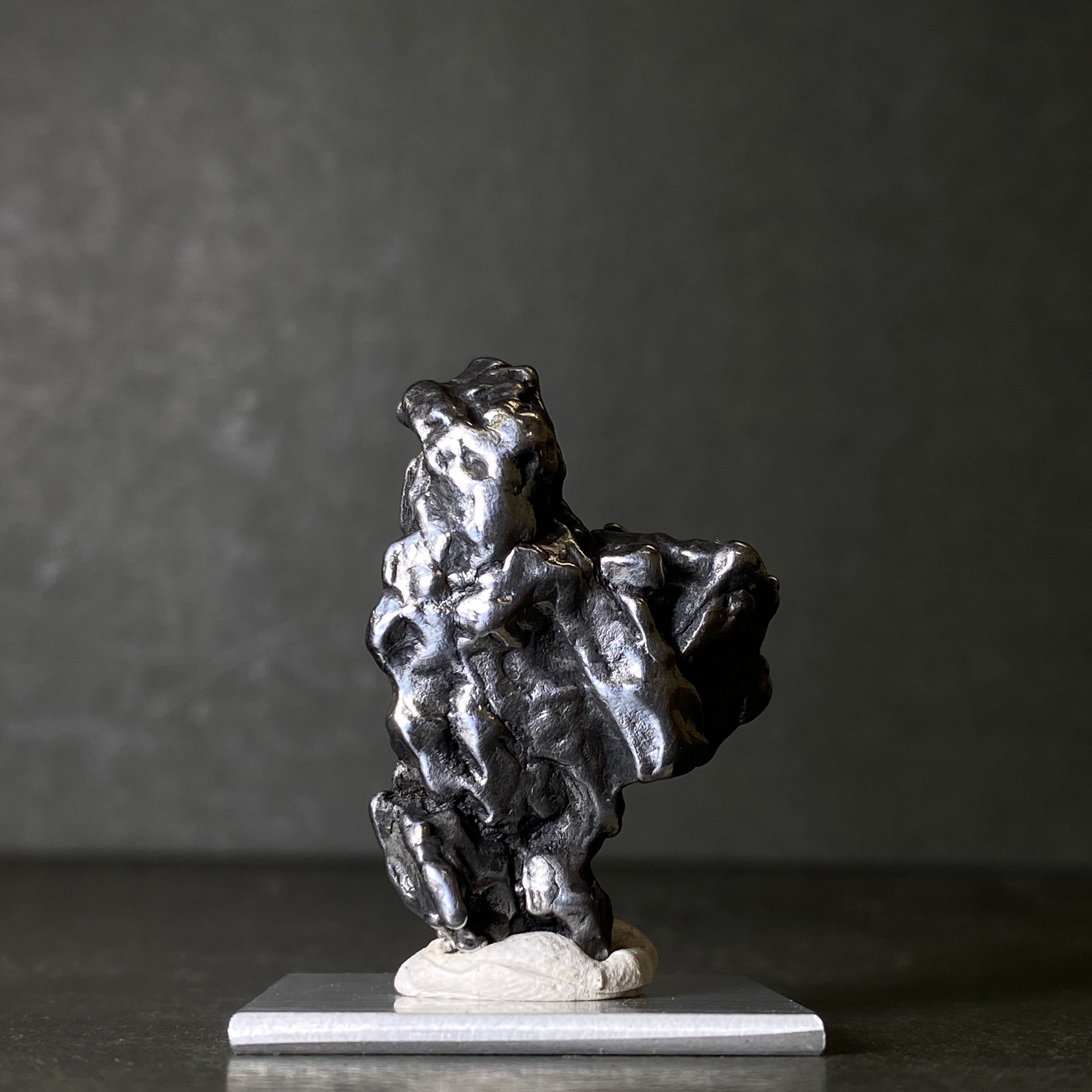 Campo del Cielo カンポデルシエロ | 【隕石屋】METEOS（メテオス）