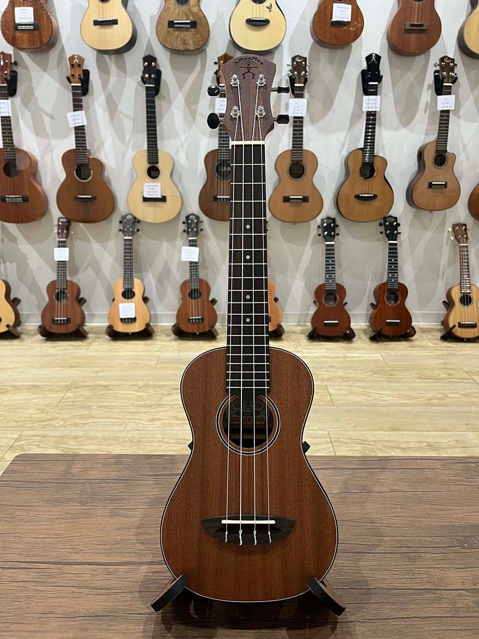 Worth Strings クリアフロロカーボン CT63 | ウクレレショップ サニー