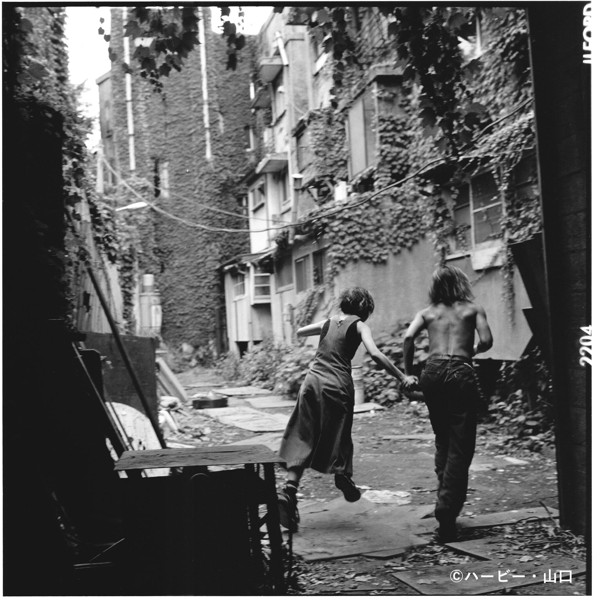 ハービー・山口 | e-Art Gallery