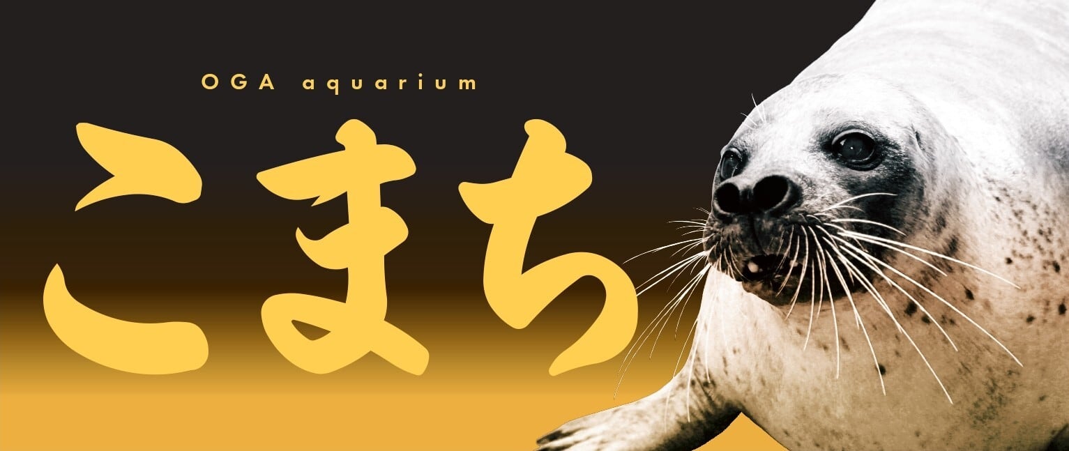 フェイスタオル こまち | 男鹿水族館GAO Online Shop