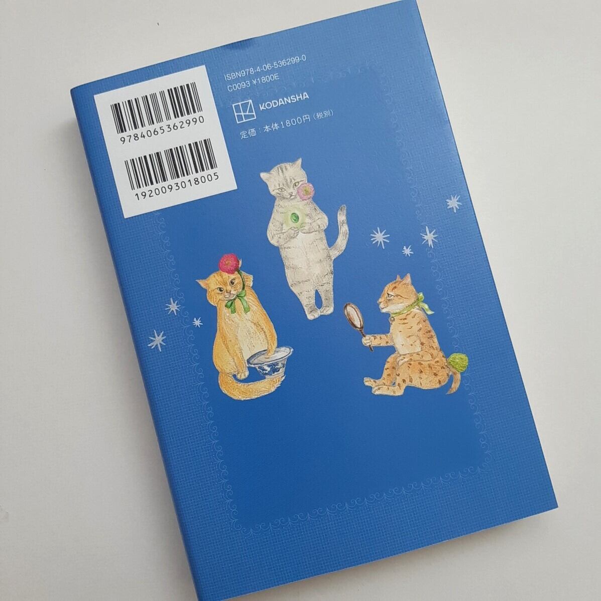 今宵も猫は交信中 | ねこのみち