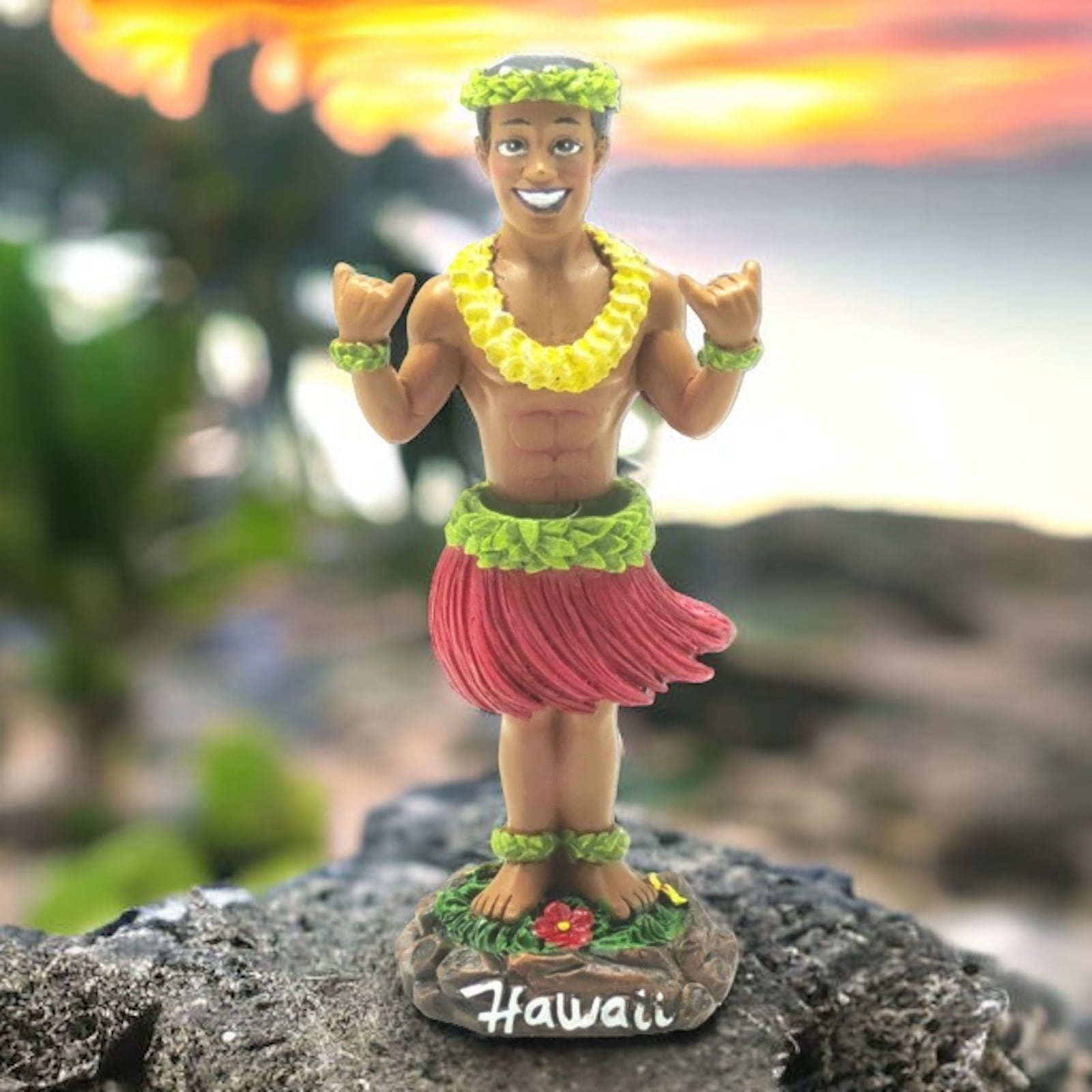 へっぽこ、ハワイホシダカラ 31XmZaCIAOL.jpg