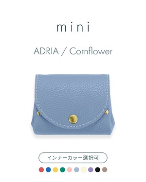 mini｟ アドリア / コーンフラワー ｠