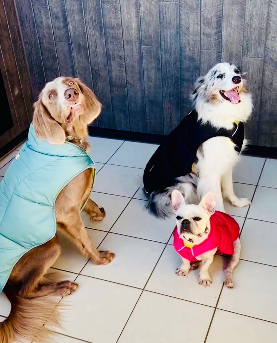 RUFFWEAR(ラフウェア) クインジードッグジャケット