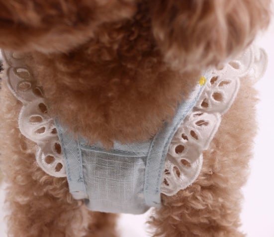 ドッグウェア デイジー柄サマードレス 白 犬服 | ＋DOG online ドッグ