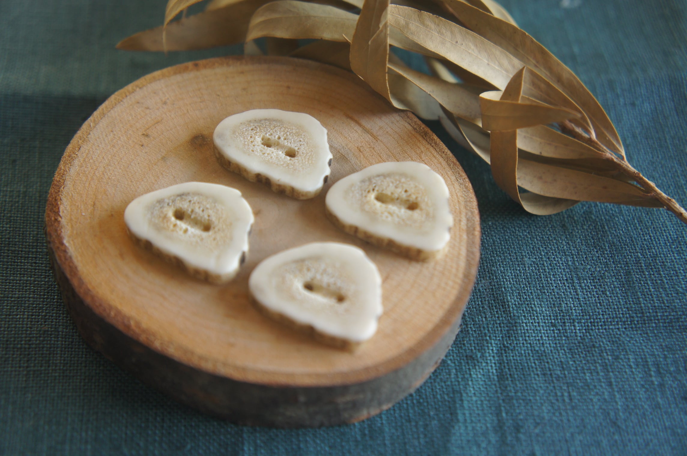 鹿の角詰め合わせ 鹿児島高浜焼＆さつま揚げ詰め合わせ - 鹿児島串木野