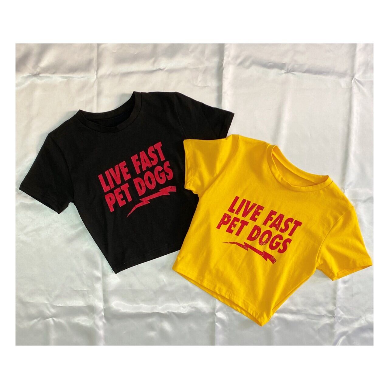 ショート丈Tシャツ Tシャツ クロップド丈トップス 韓国 韓国 ショート丈Tシャツ Tシャツ クロップド丈トップス 韓国 韓国