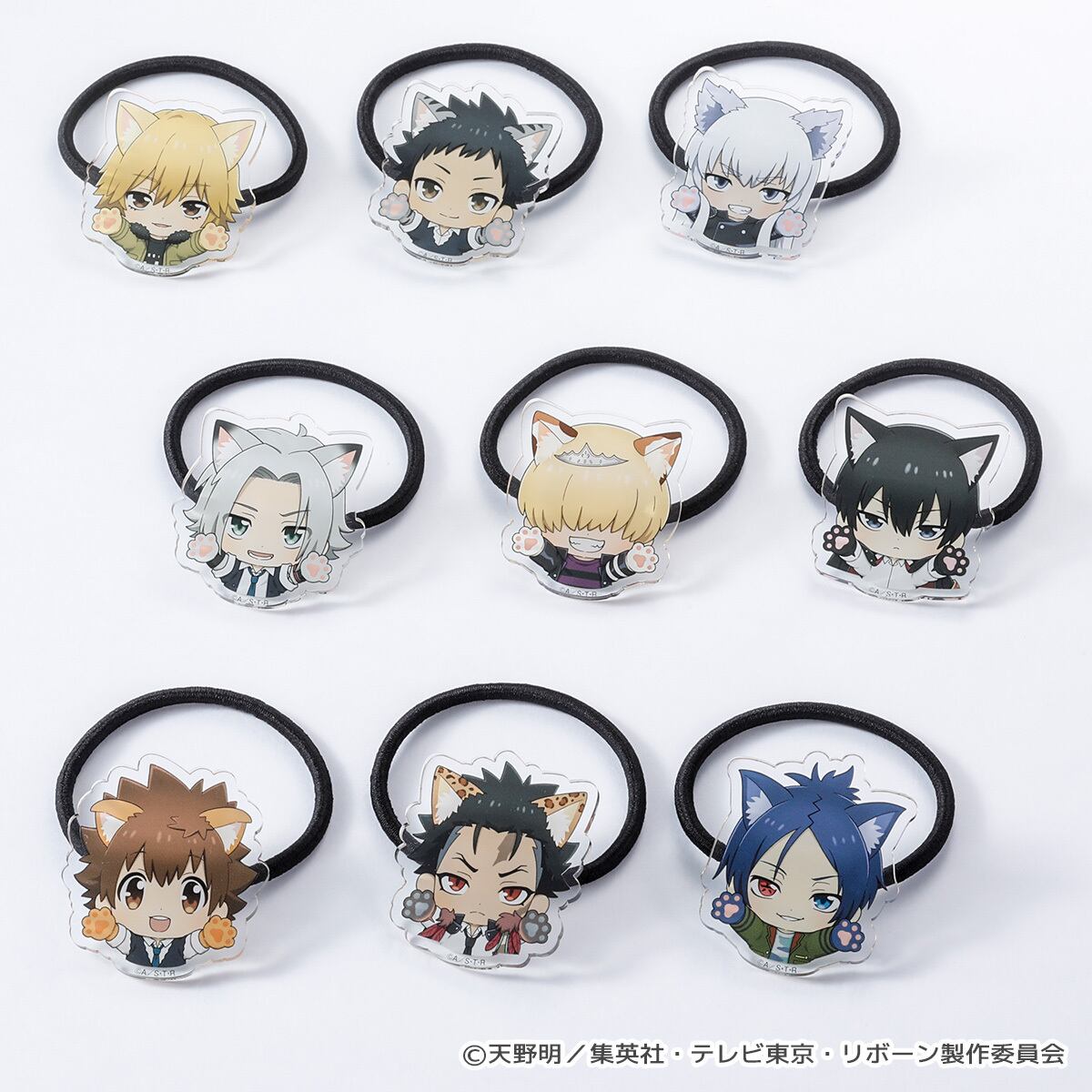 家庭教師ヒットマンREBORN!】アクリルヘアゴム | キャラfab