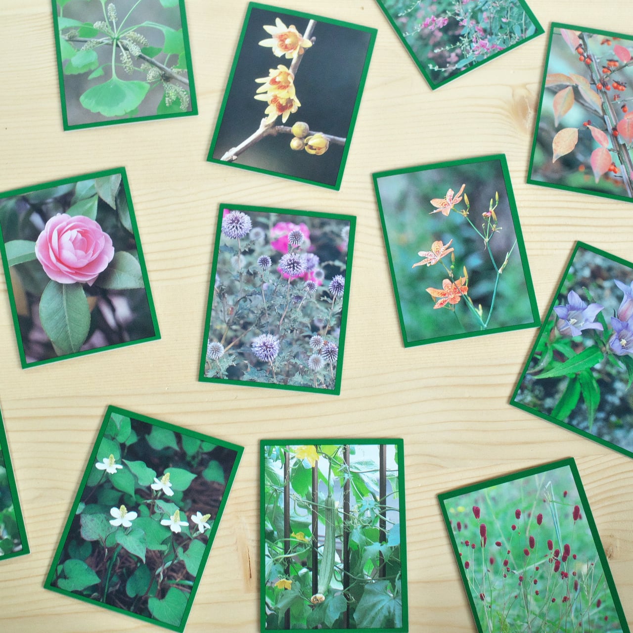 花おりおりかるた | 木のおもちゃ専門店 おもちゃ箱 イカロス 公式