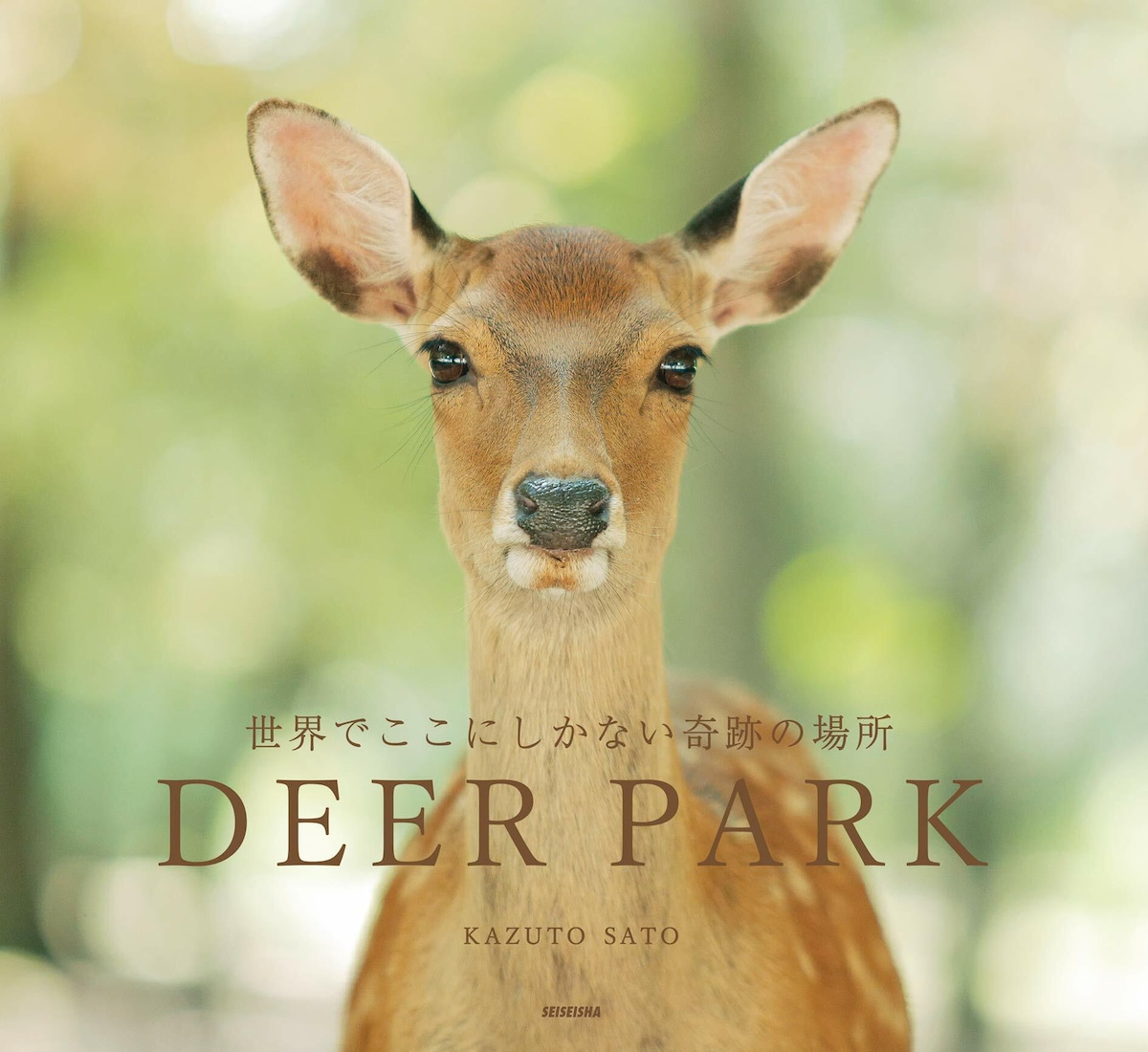 写真集『DEER PARK 世界でここにしかない奇跡の場所』 | kazutosato