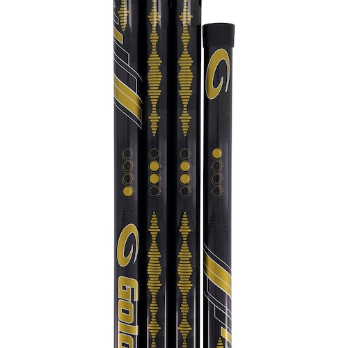 GOLDLINEチェアカーリング専用デリバリースティック