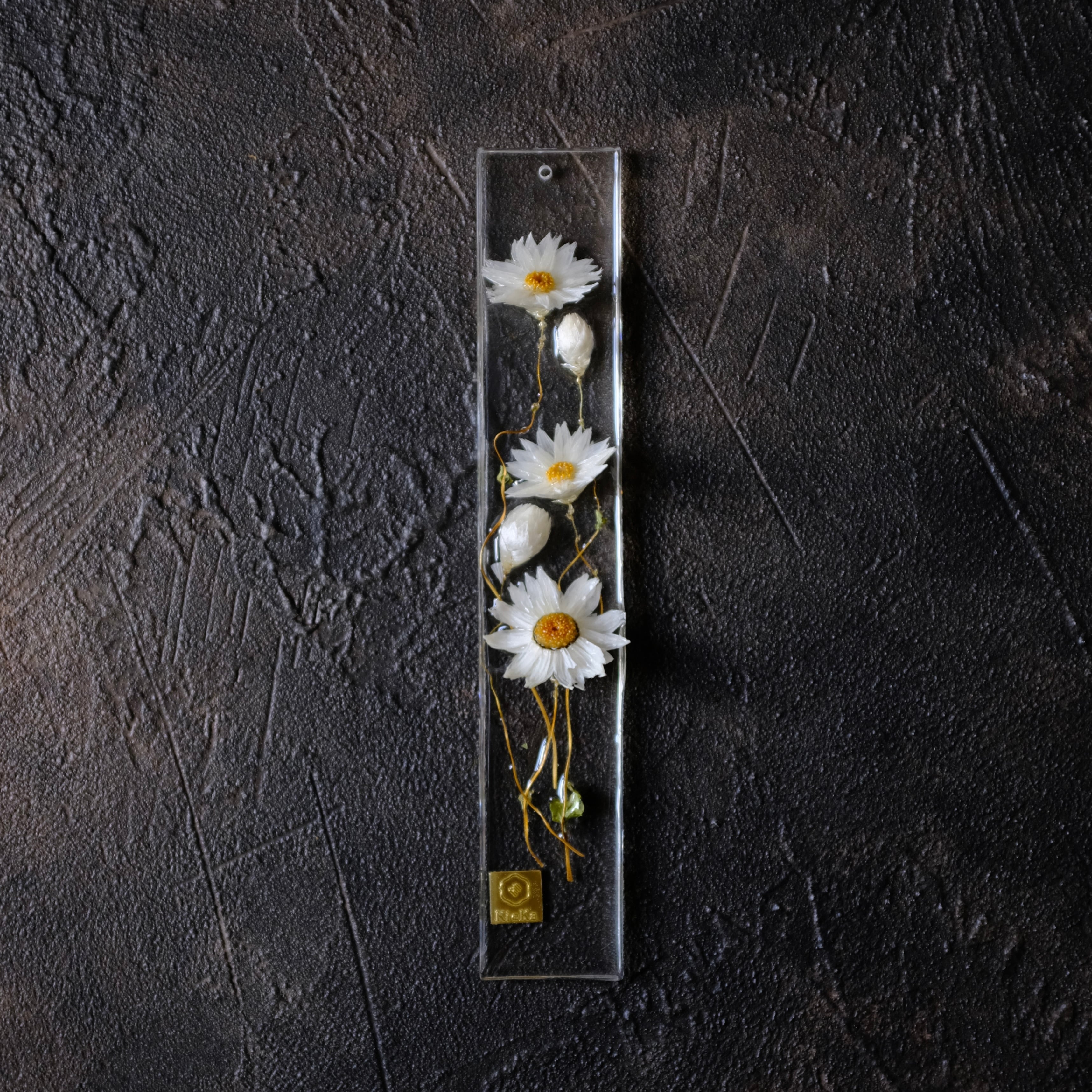 dried flower S ローダンセ ホワイト | KieKa