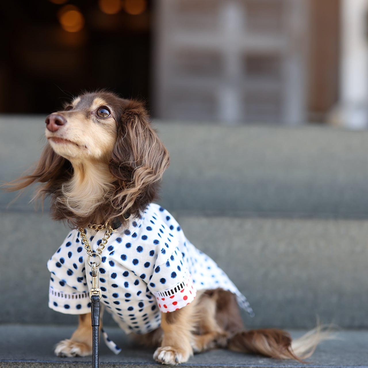 【受注2026】甚平 "豆絞り"