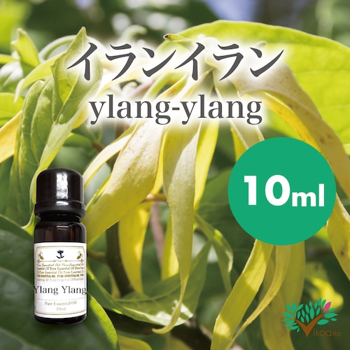 精油　イランイラン・エクストラ10ml【英国直輸入】