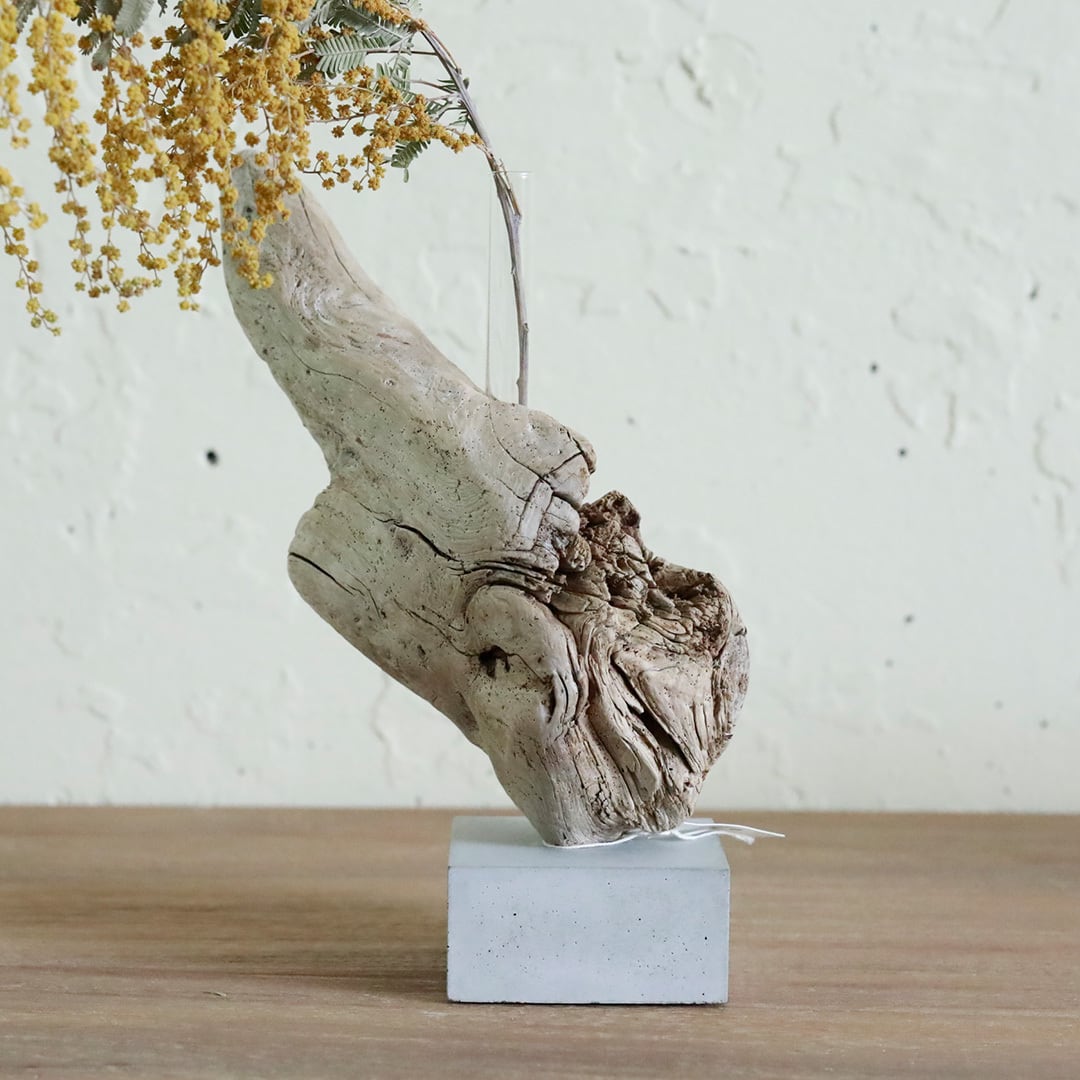 saisei (再生) driftwood flower vase cement 無塗装 | FREEPARK