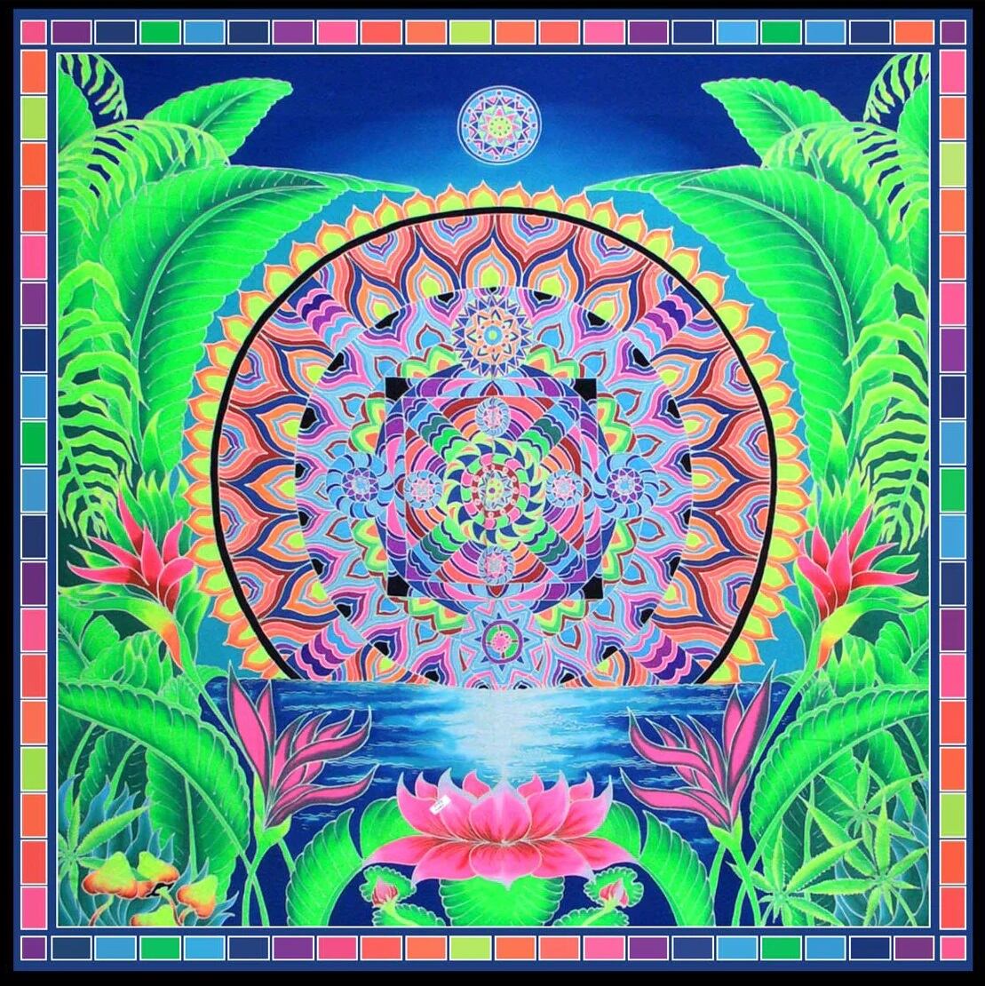 SPACE TRIBE   FRACTAL DIMENSION