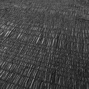 Leilian レリアン ノースリーブ ストレッチ シャツ サイズ 13+ /レディース/ブラック/日本製