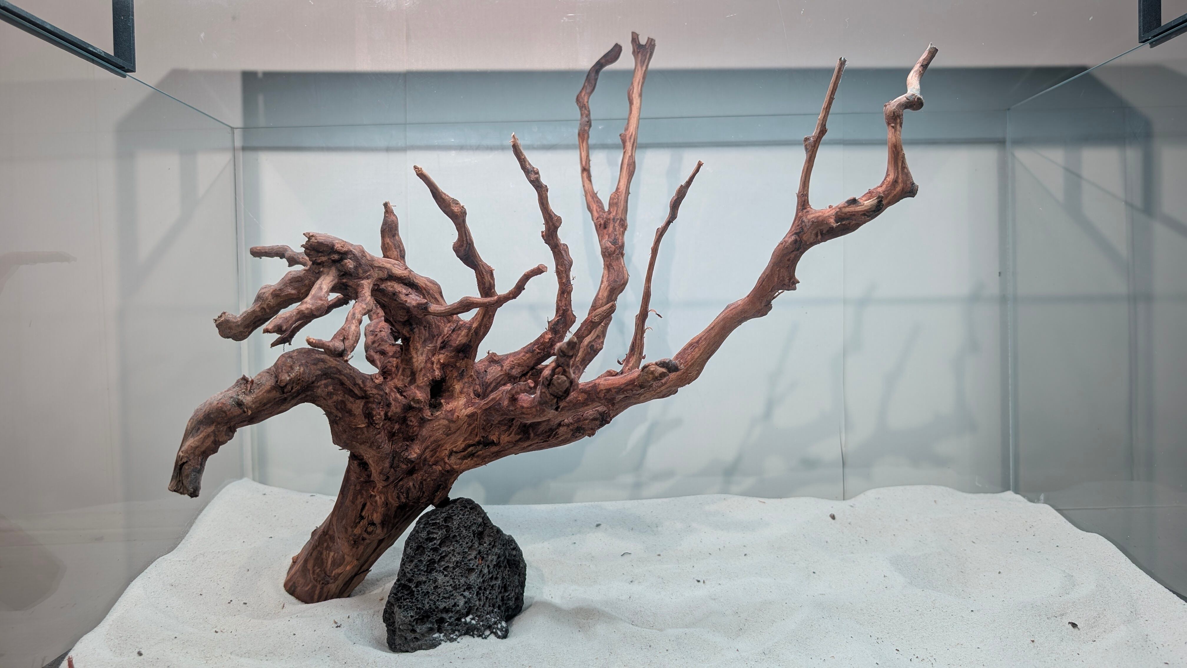 ペットの流木 水宗工房