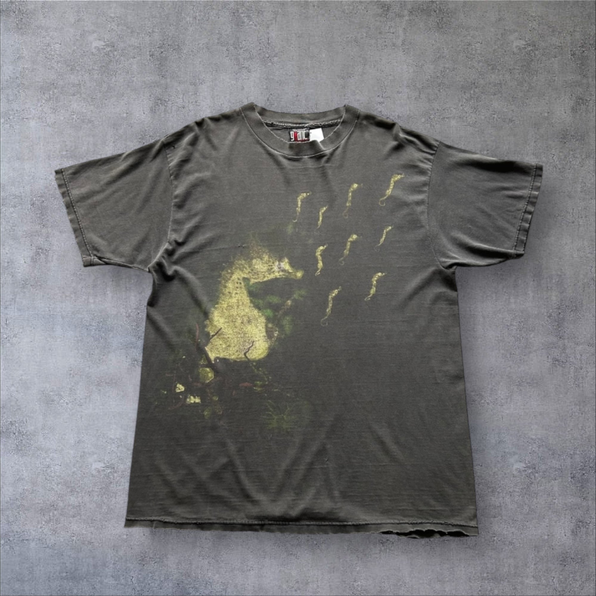 Special!! 1993s NIRVANA "Apologies" T-shirt【高円寺店】