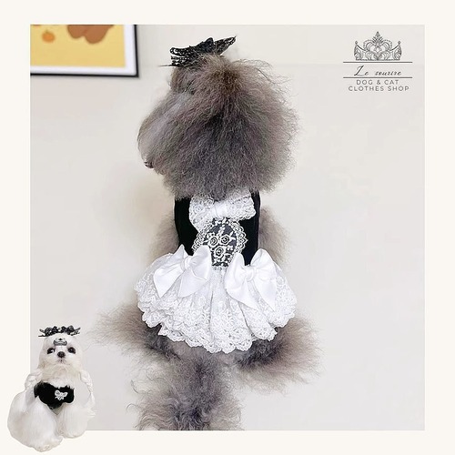 予約【№B03618】モノトーンレース プリンセスワンピ