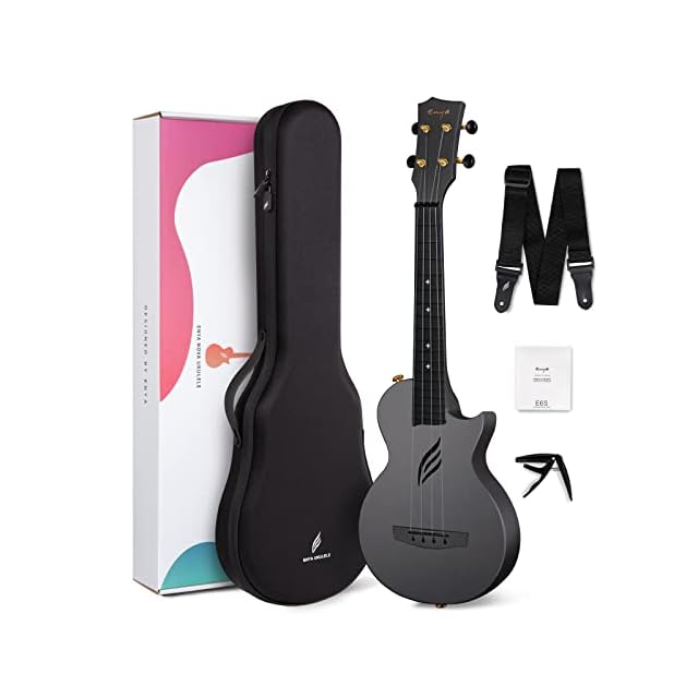 電子タンブーラ ～Saarang Maestro Dx | Pay ID