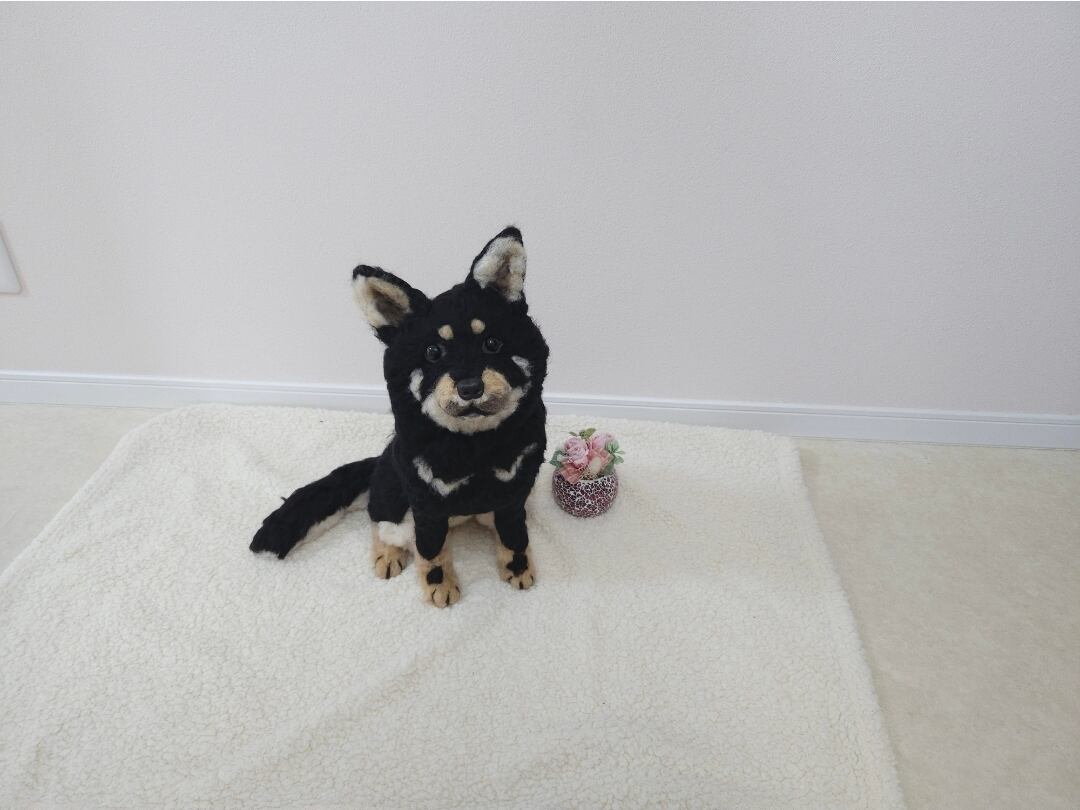 専用　先着１名　犬　猫　ペット　羊毛フェルト　犬　ハンドメイド　犬　羊毛フェルト うちの子ペット 犬 猫 ペット 犬 羊毛フェルト ぬいぐるみ 犬毛 猫毛
