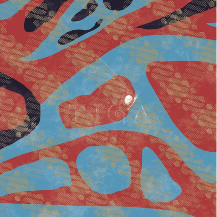 〈予約〉【CD】Dj Questa - Tiga